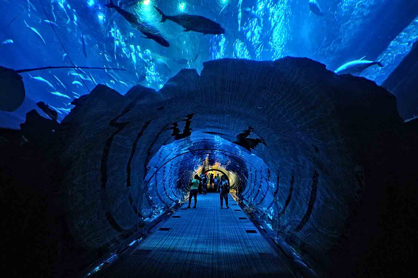 Dubai Aquarium & Underwater Zoo