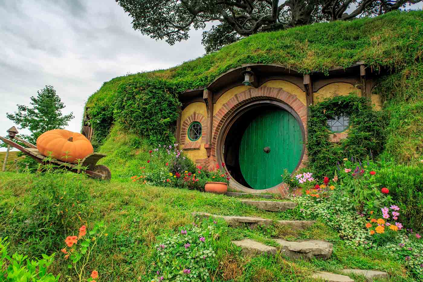 hobbiton tour hamilton