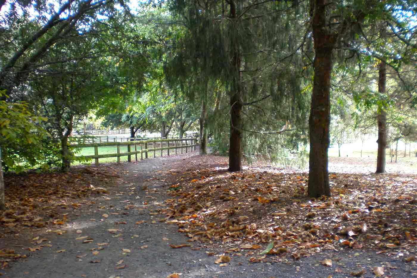 Taitua Arboretum