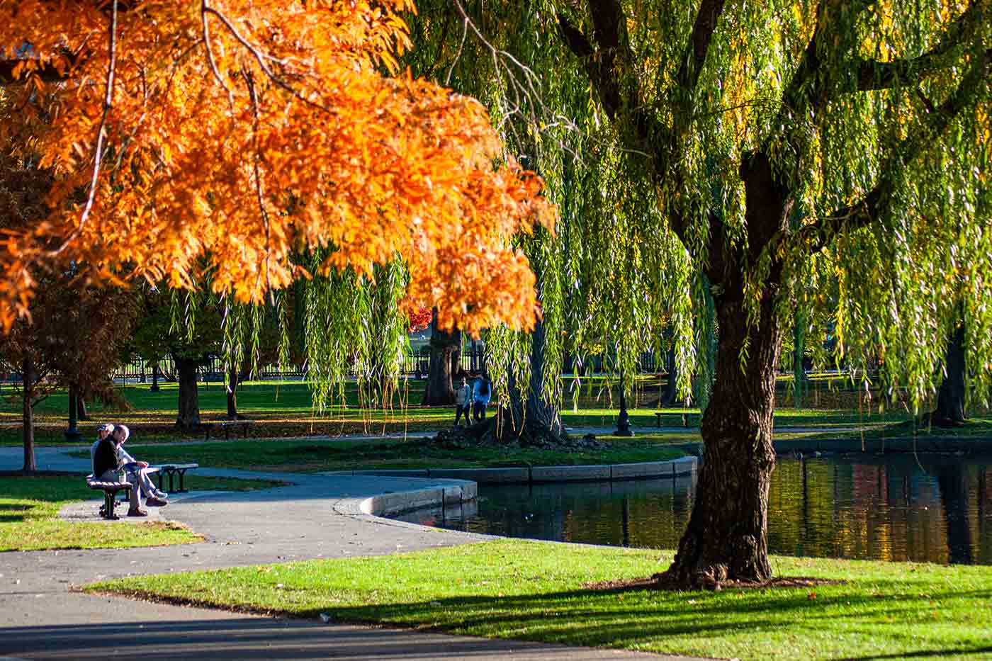 Boston Public Garden