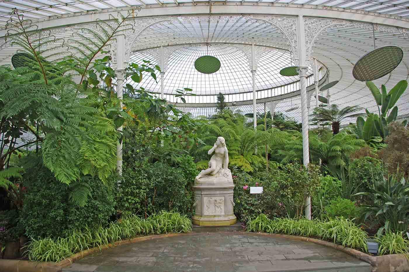 Glasgow Botanic Gardens