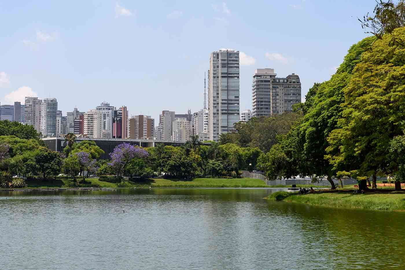 Ibirapuera Park