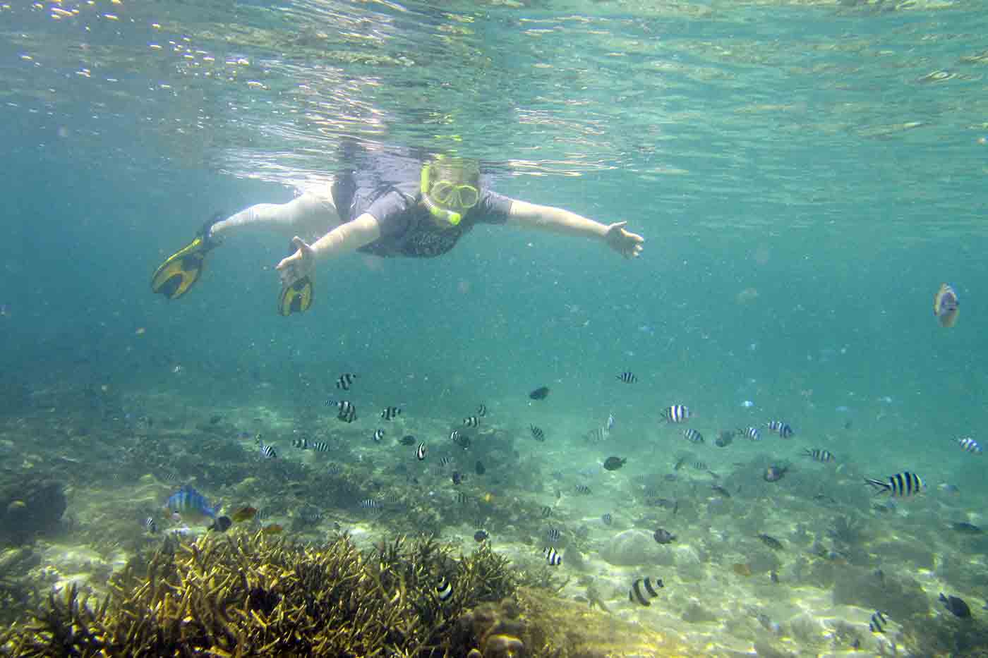 Scuba Diving and Snorkeling