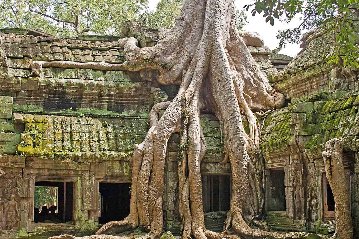 Ta Prohm