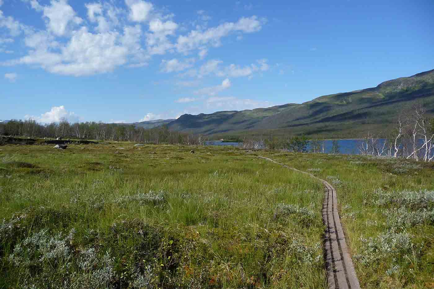 Abisko National Park