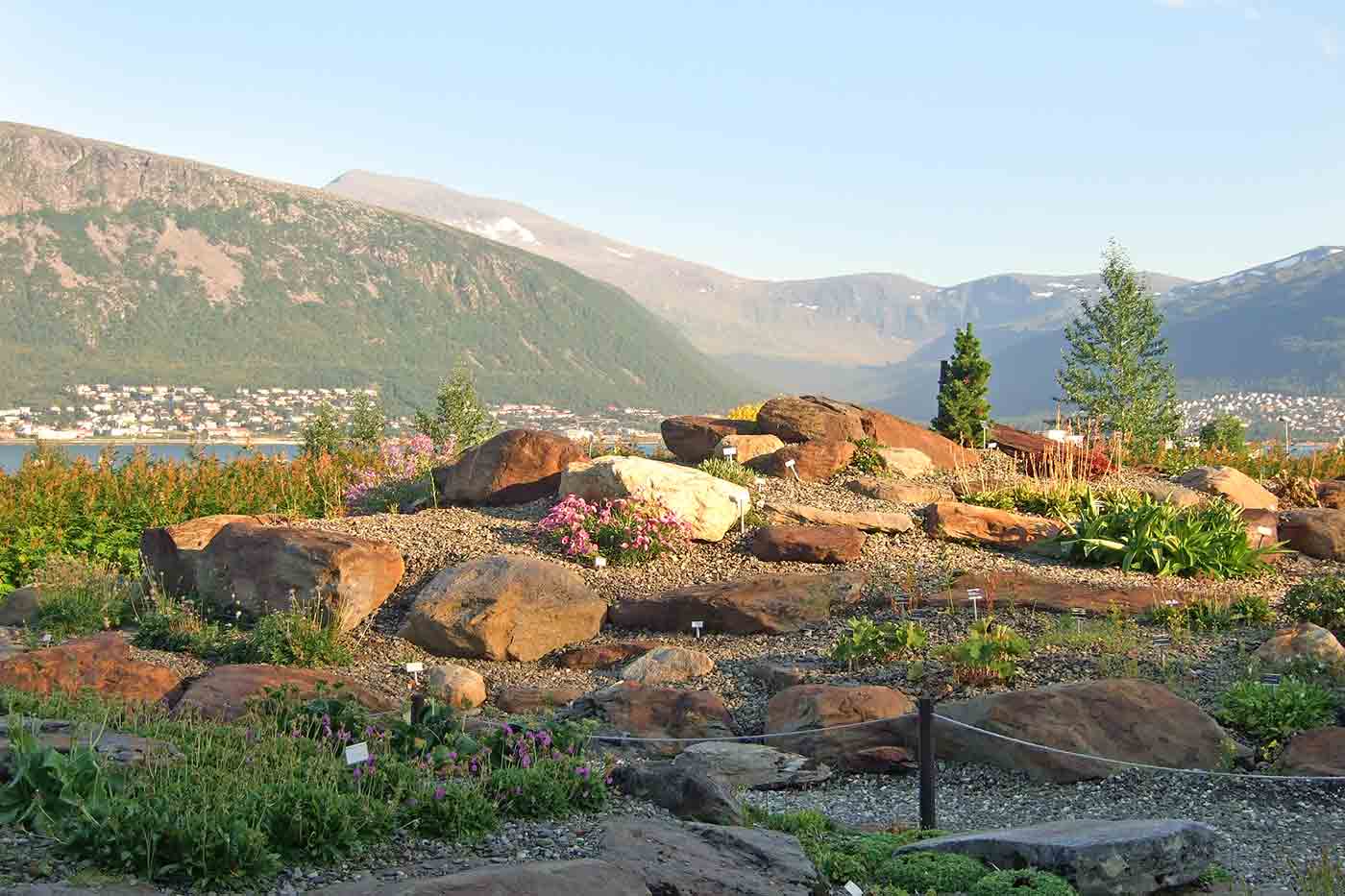 Arctic-Alpine Botanic Garden