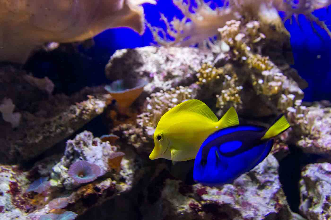 Bristol Aquarium