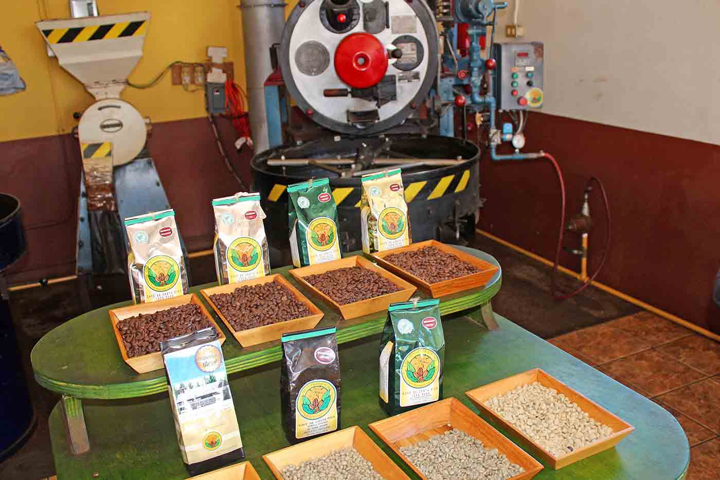 Doka Estate Costa Rica Coffee Tour