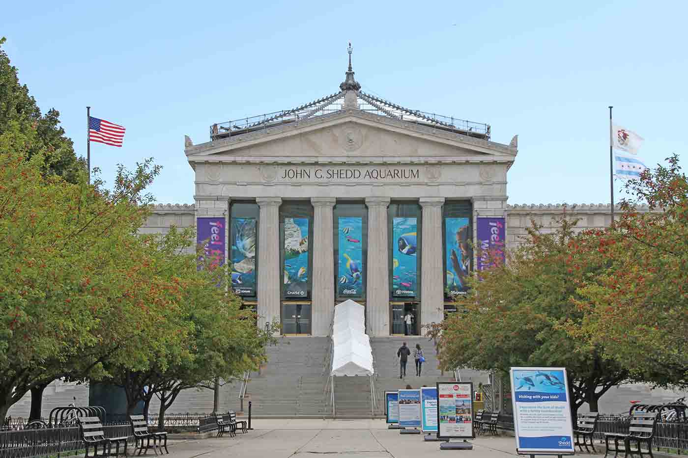 John G Shedd Aquarium