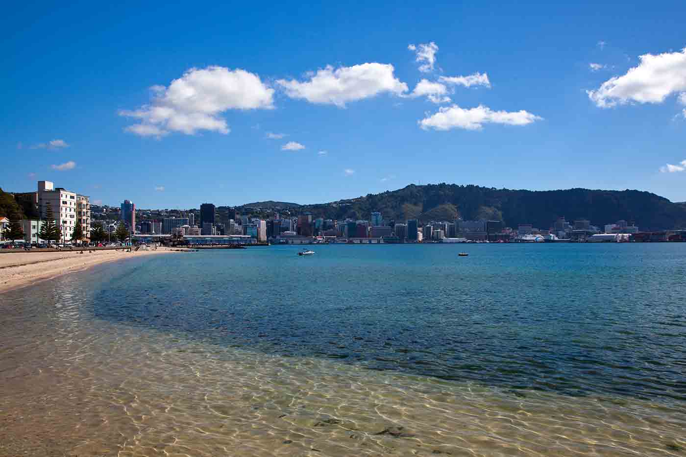 Wellington Beaches