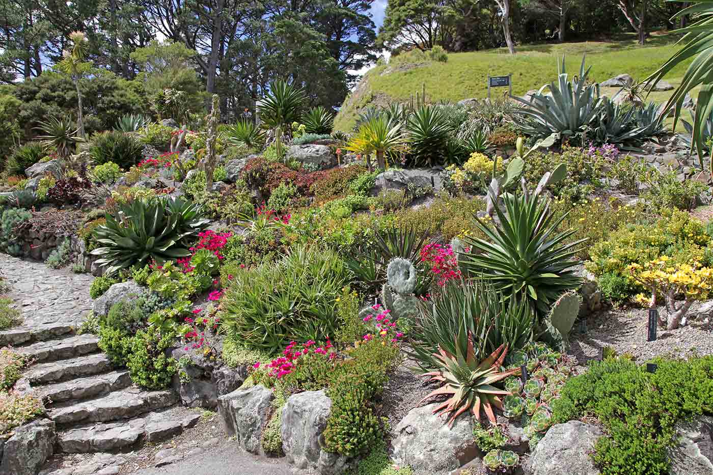 Wellington Botanic Garden