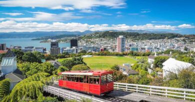 Tourist Attractions to Visit in Wellington