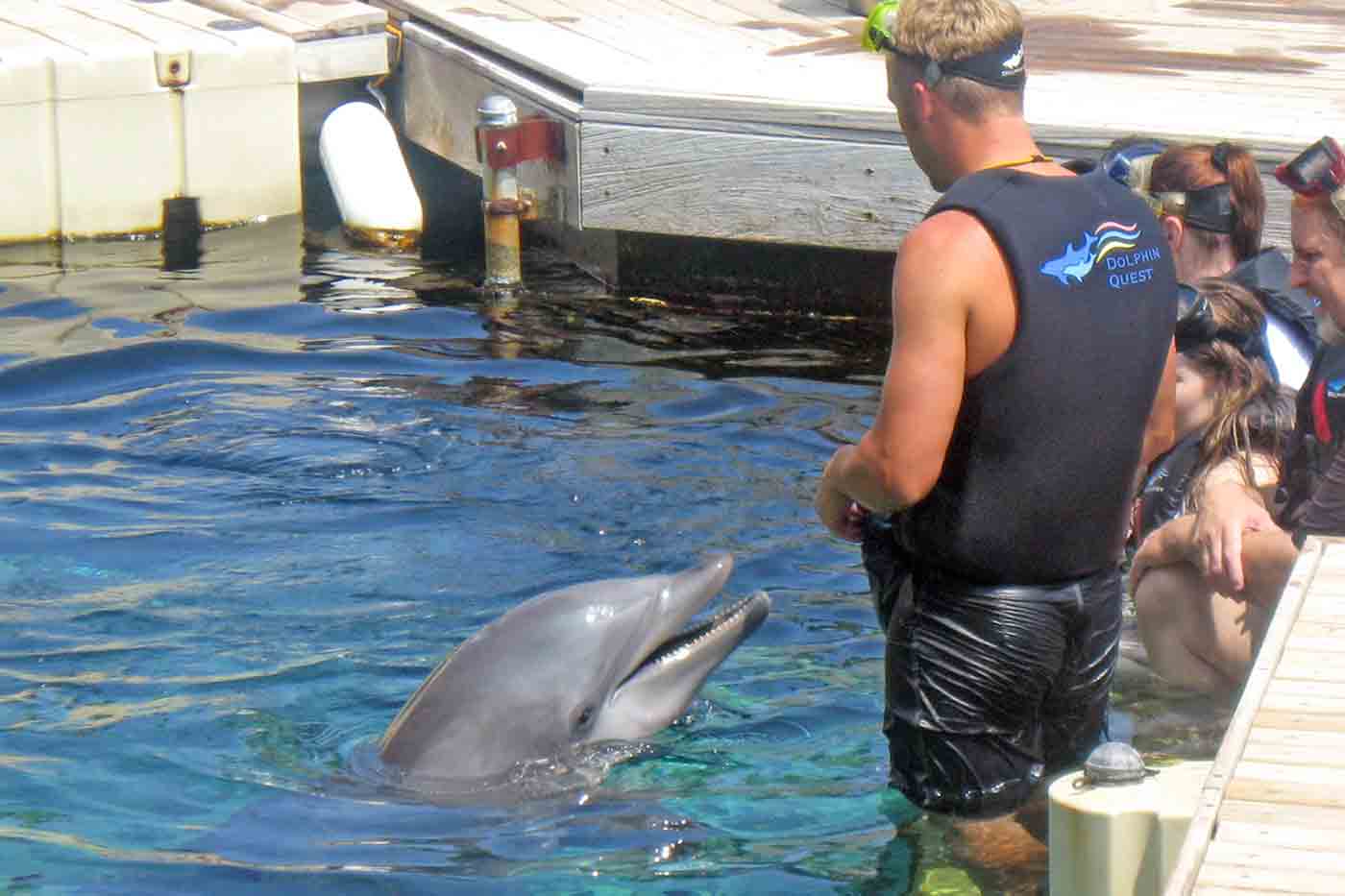 Dolphin Quest Oahu