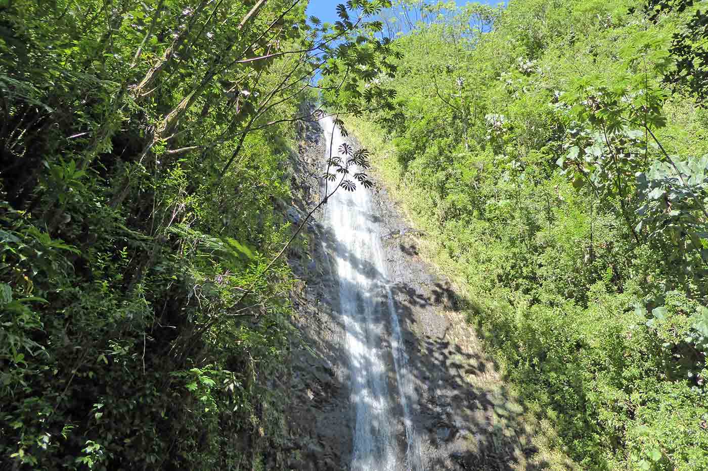 Moana Falls Trail