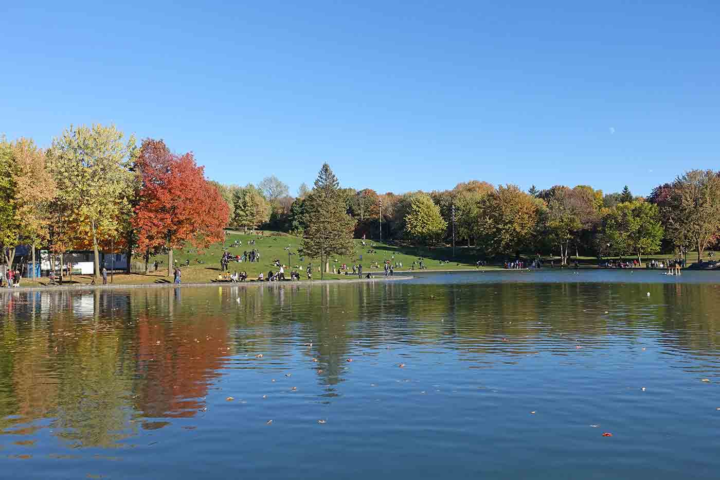 Mount Royal Park