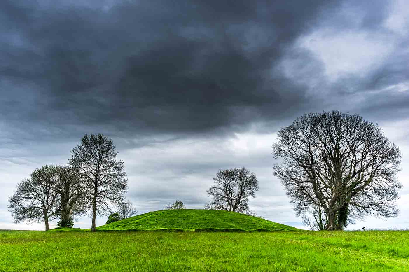 Navan Fort and Center