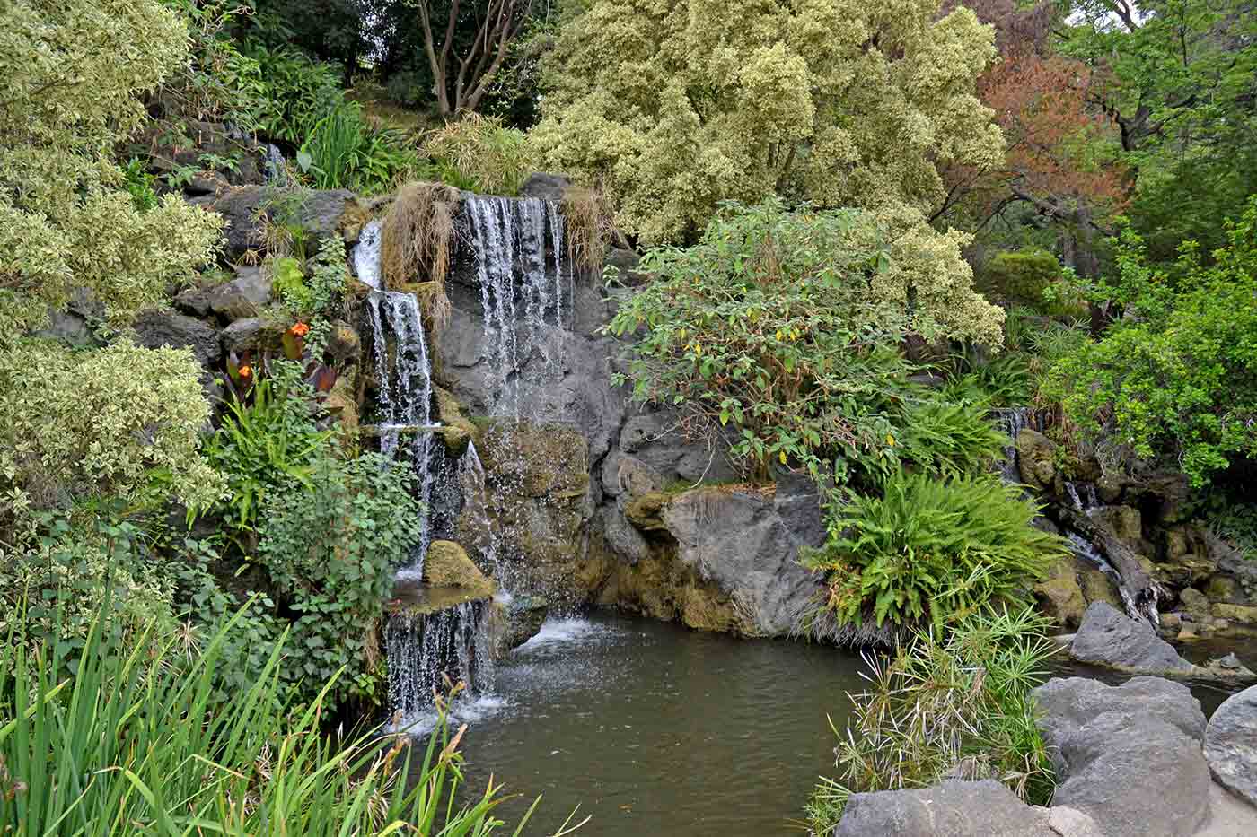 Arboretum and Botanic Garden