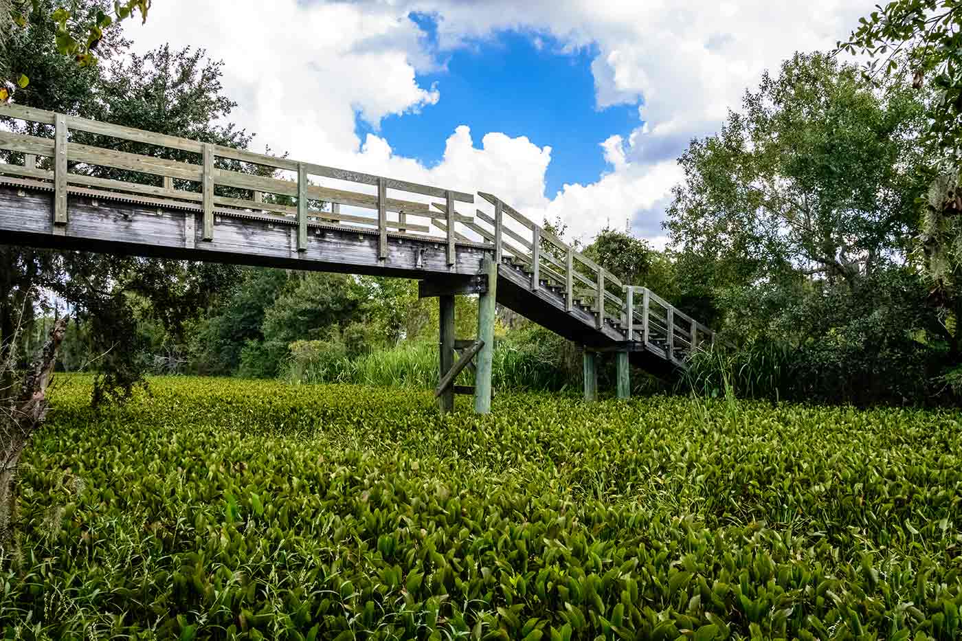 Jean Lafitte National Historical Park and Preserve