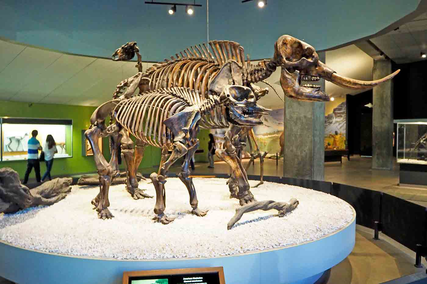 La Brea Tar Pits and Museum