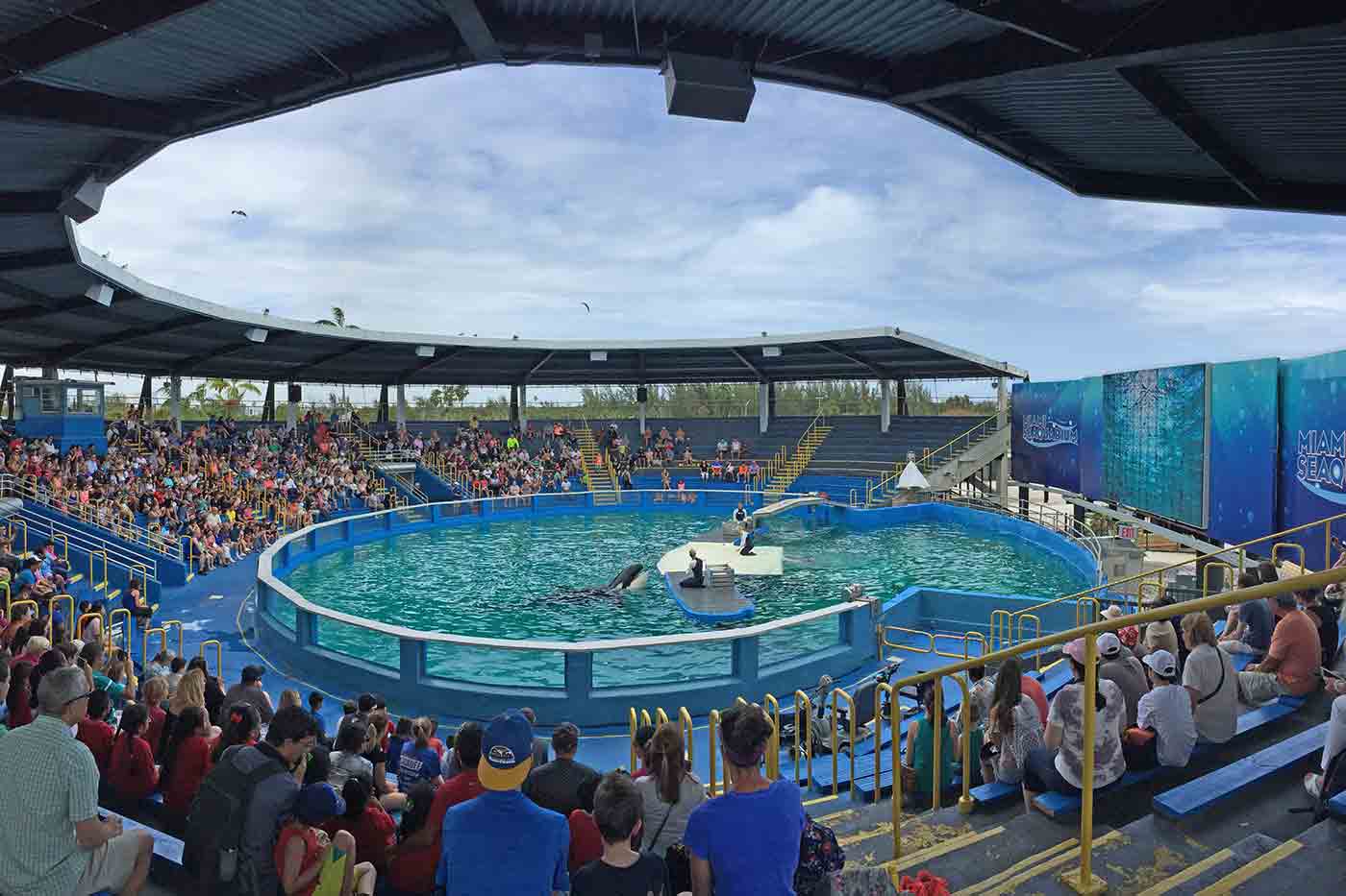 Miami Seaquarium