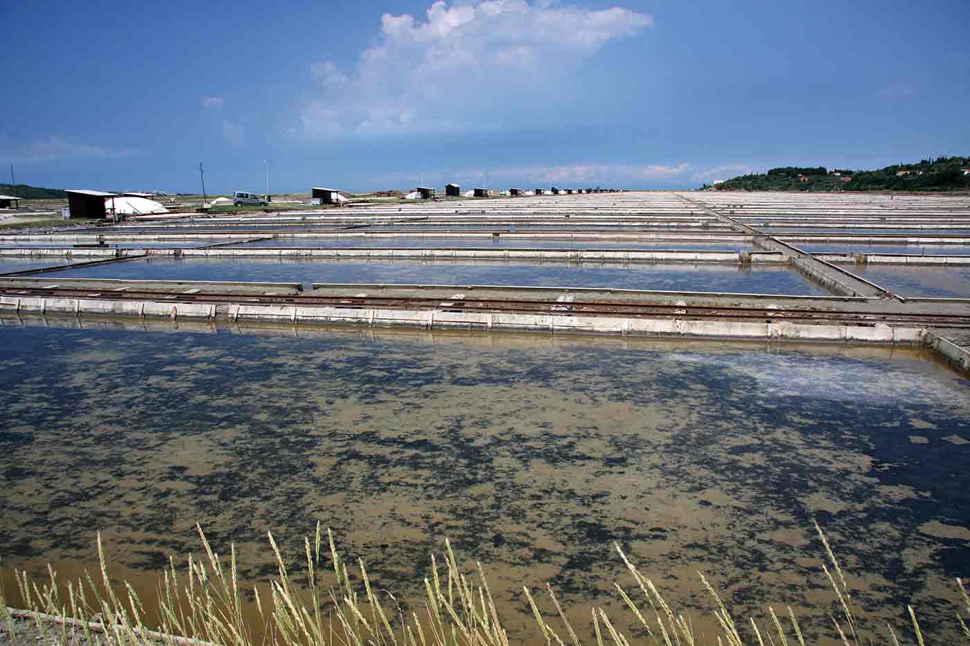 Sečovlje Salina Nature Park