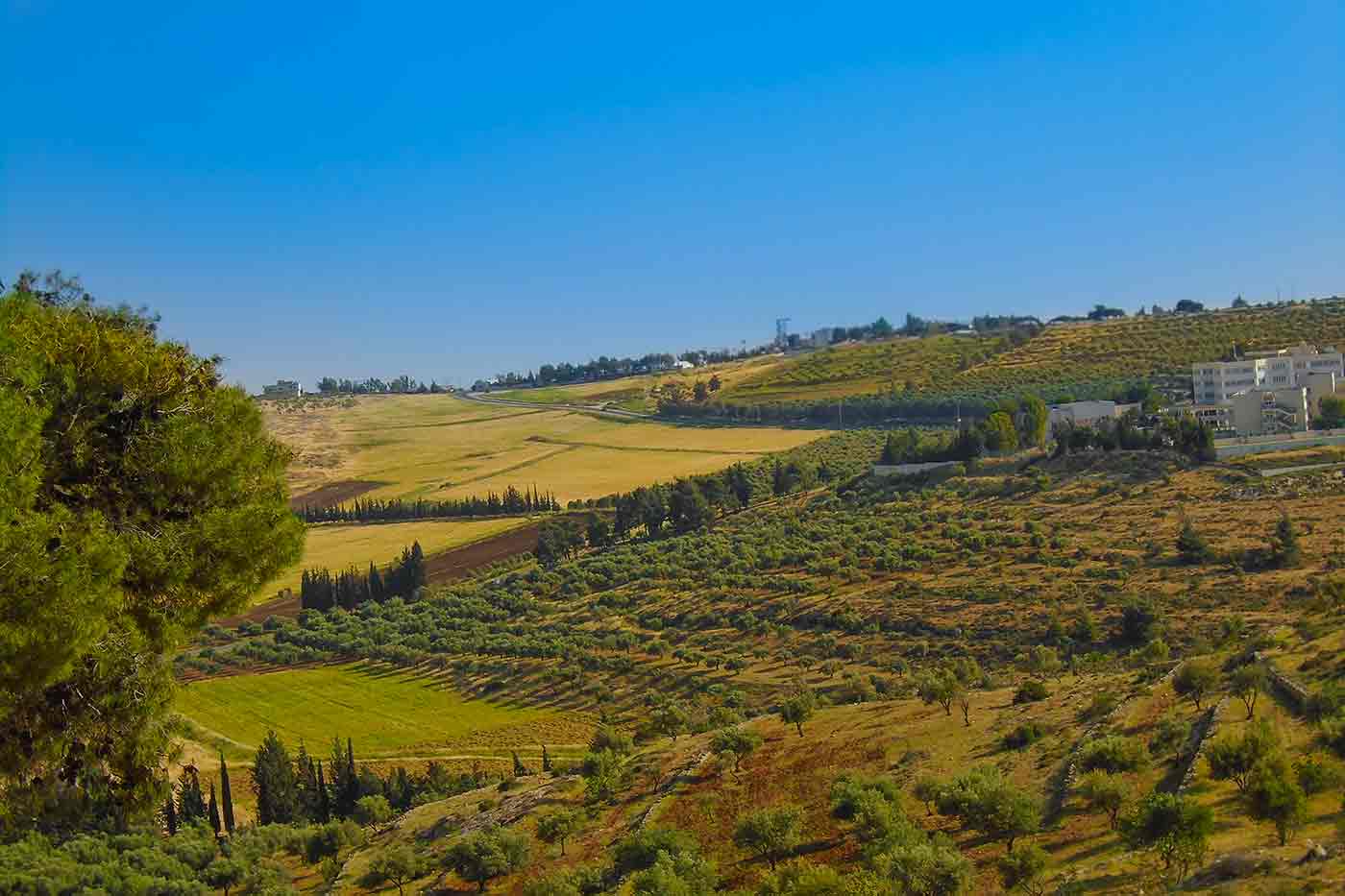 Amman National Park