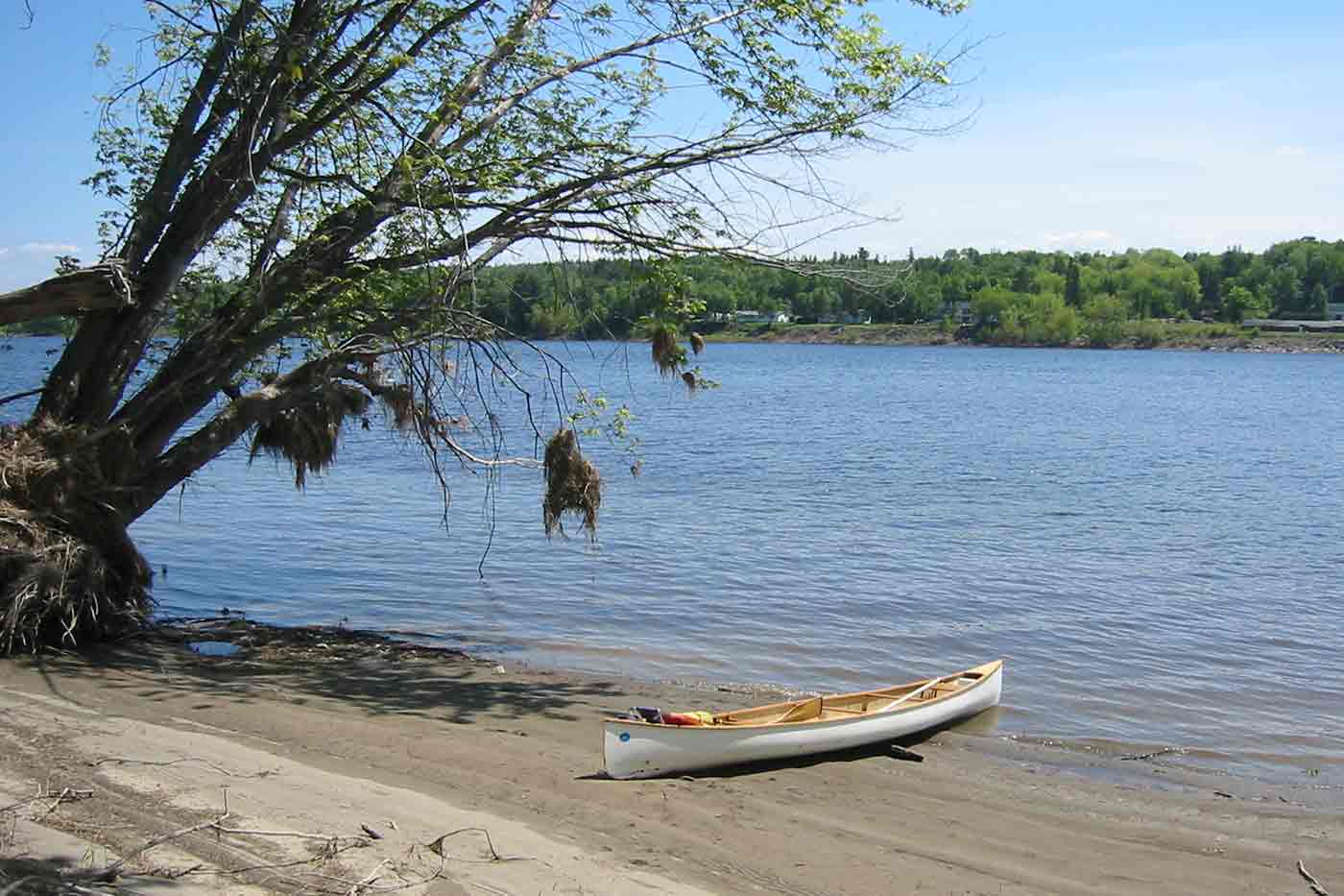 Outdoor Activities to do in Fredericton