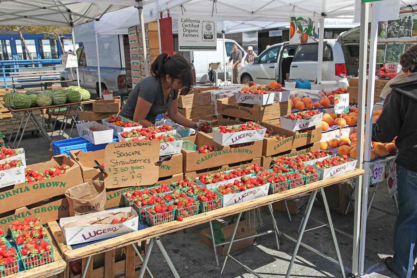 Ferry Plaza Farmer’s Market