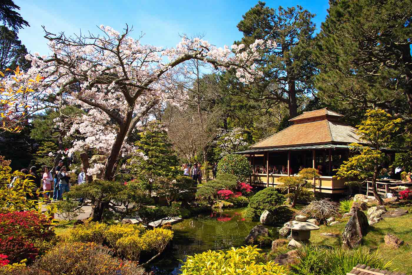 Japanese Tea Garden