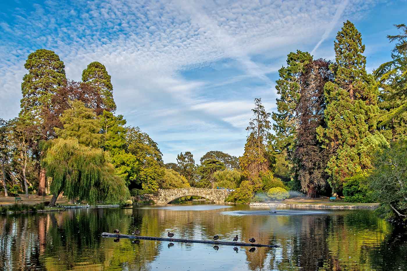 Beacon Hill Park