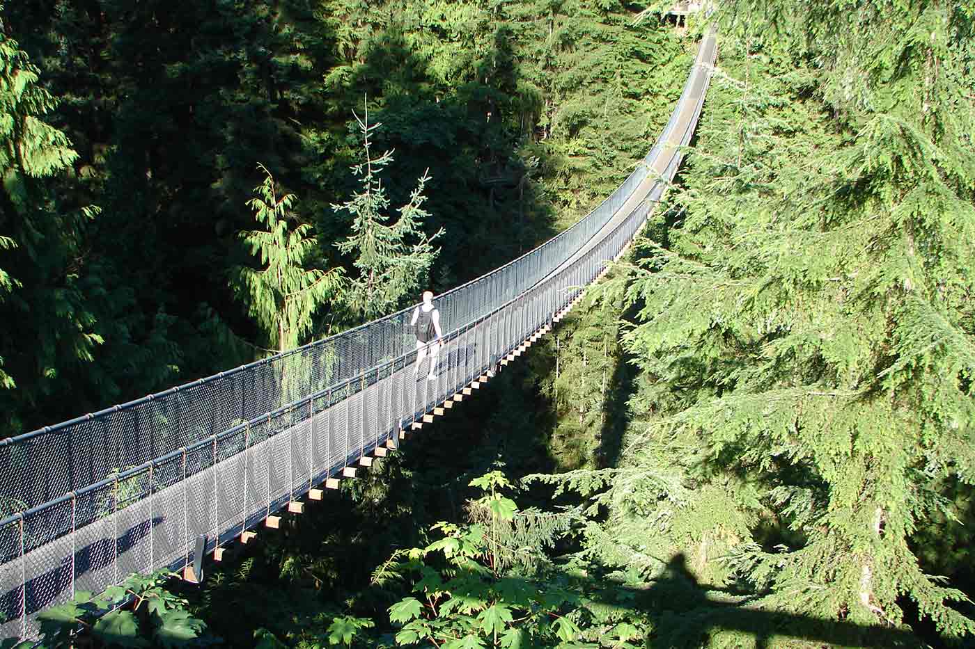 Capilano Suspension Bridge Park