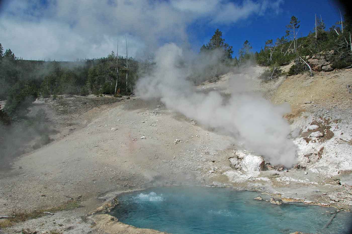 Gibbon Geyser Basin