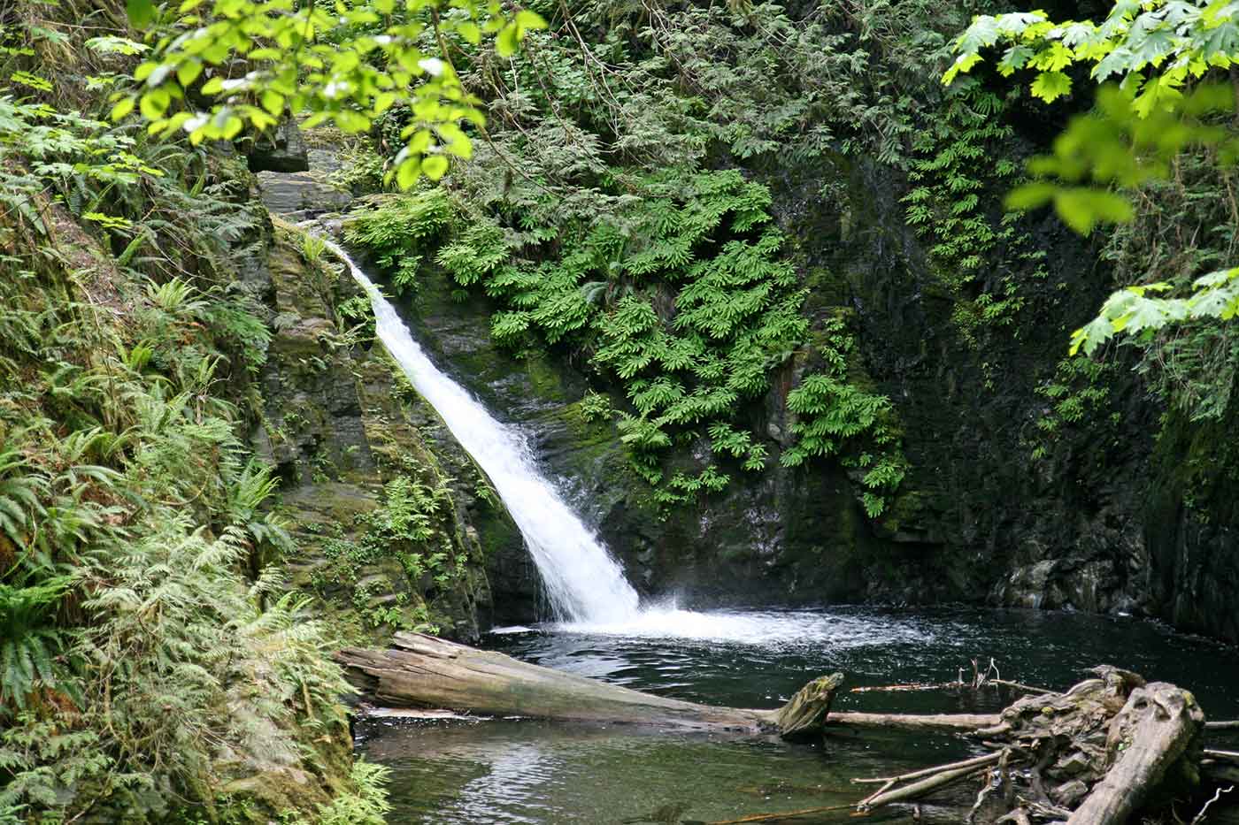 Goldstream Provincial Park