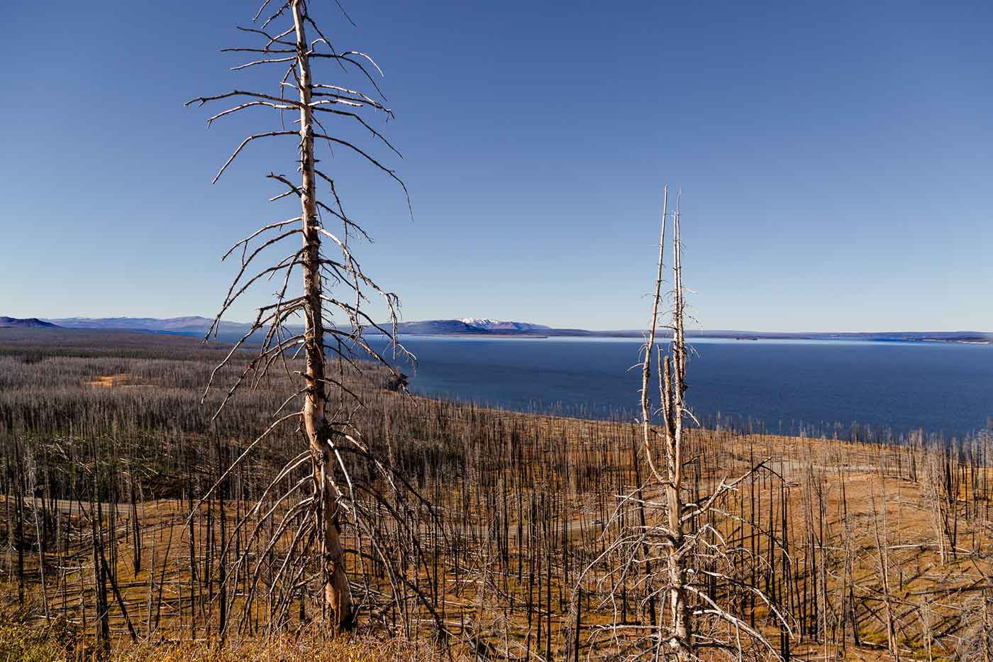 Lake Butte Overlook