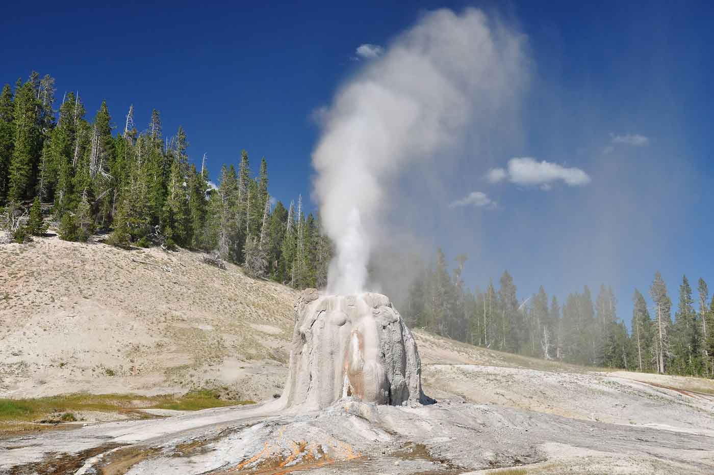 Lone Star Geyser Basin