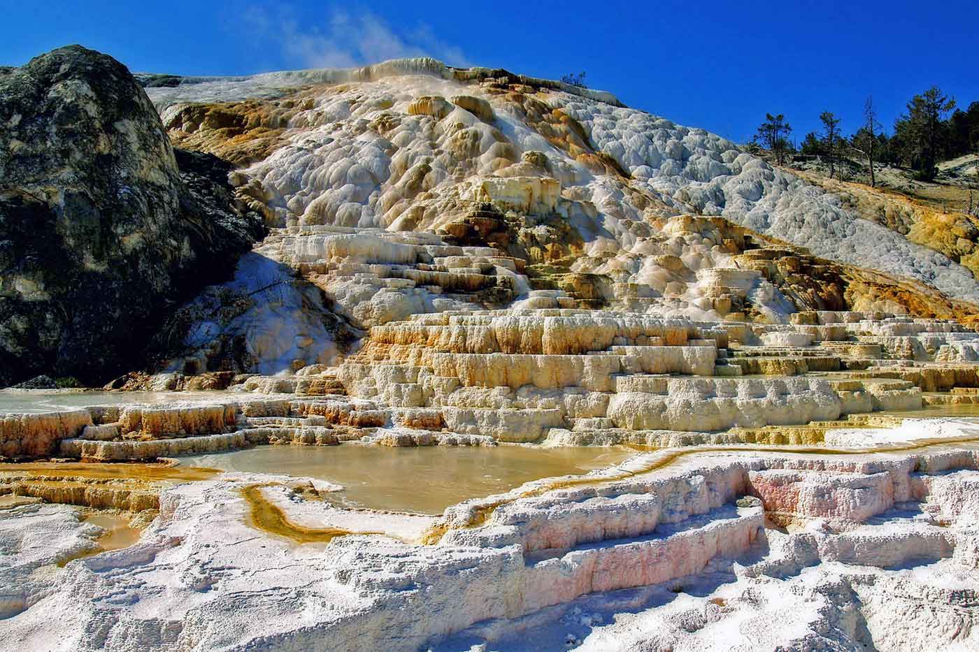 Mammoth Hot Springs