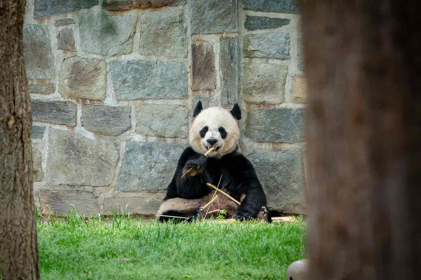 Smithsonian National Zoological Park