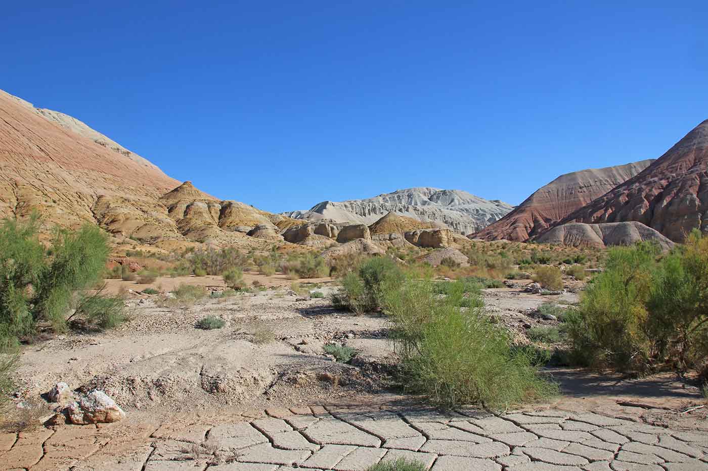 Altyn-Emel National Park