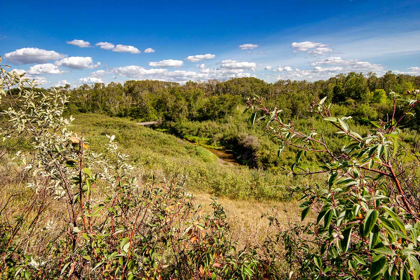 Beaver Creek Conservation Area