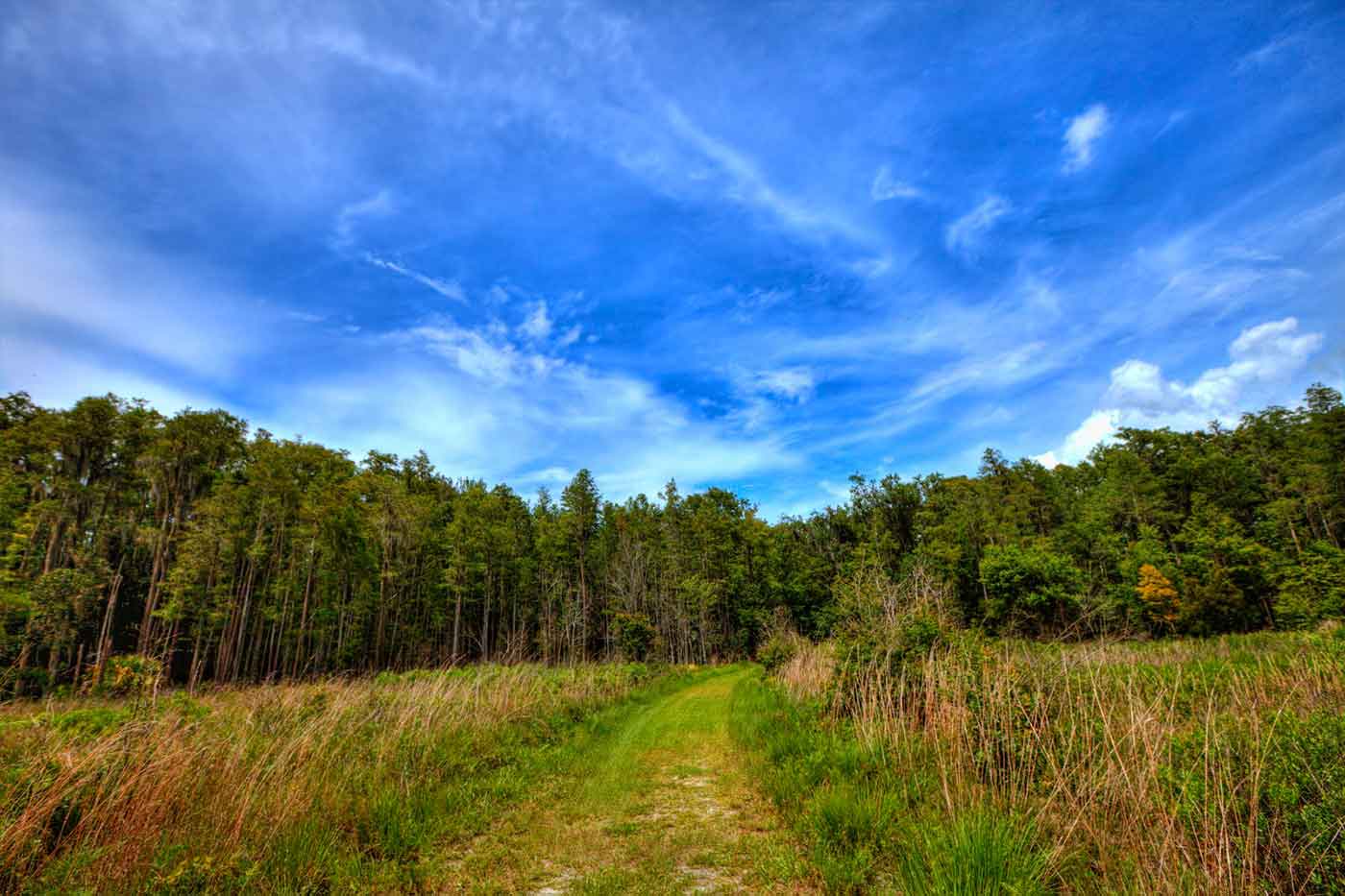 Disney Wilderness Preserve