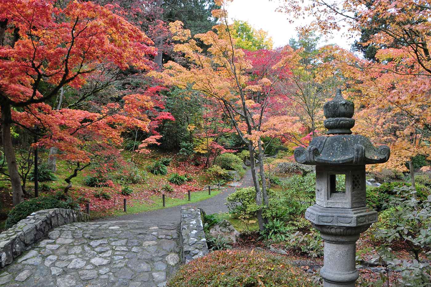 Japanese Garden