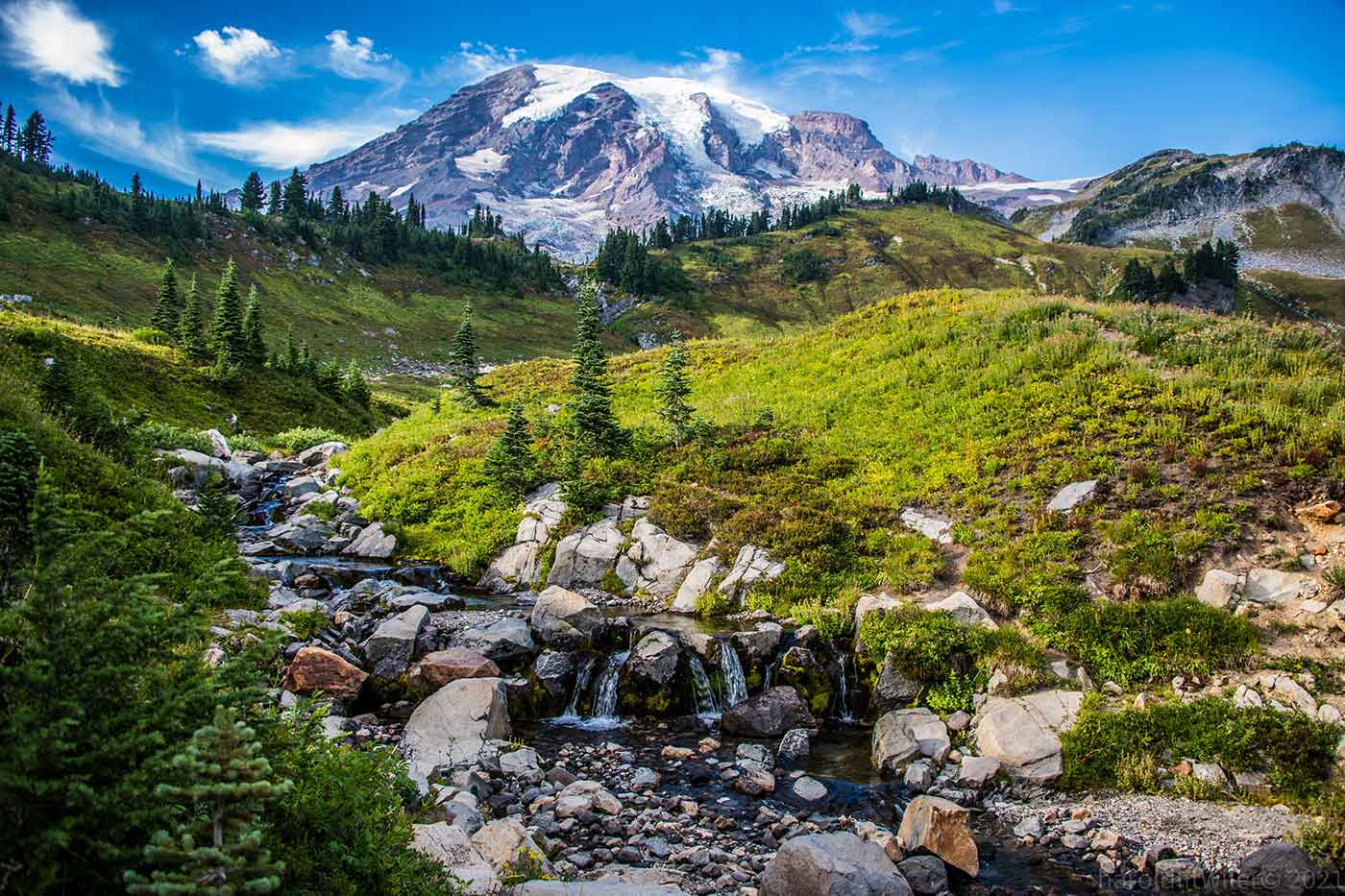 Mount Rainier National Park