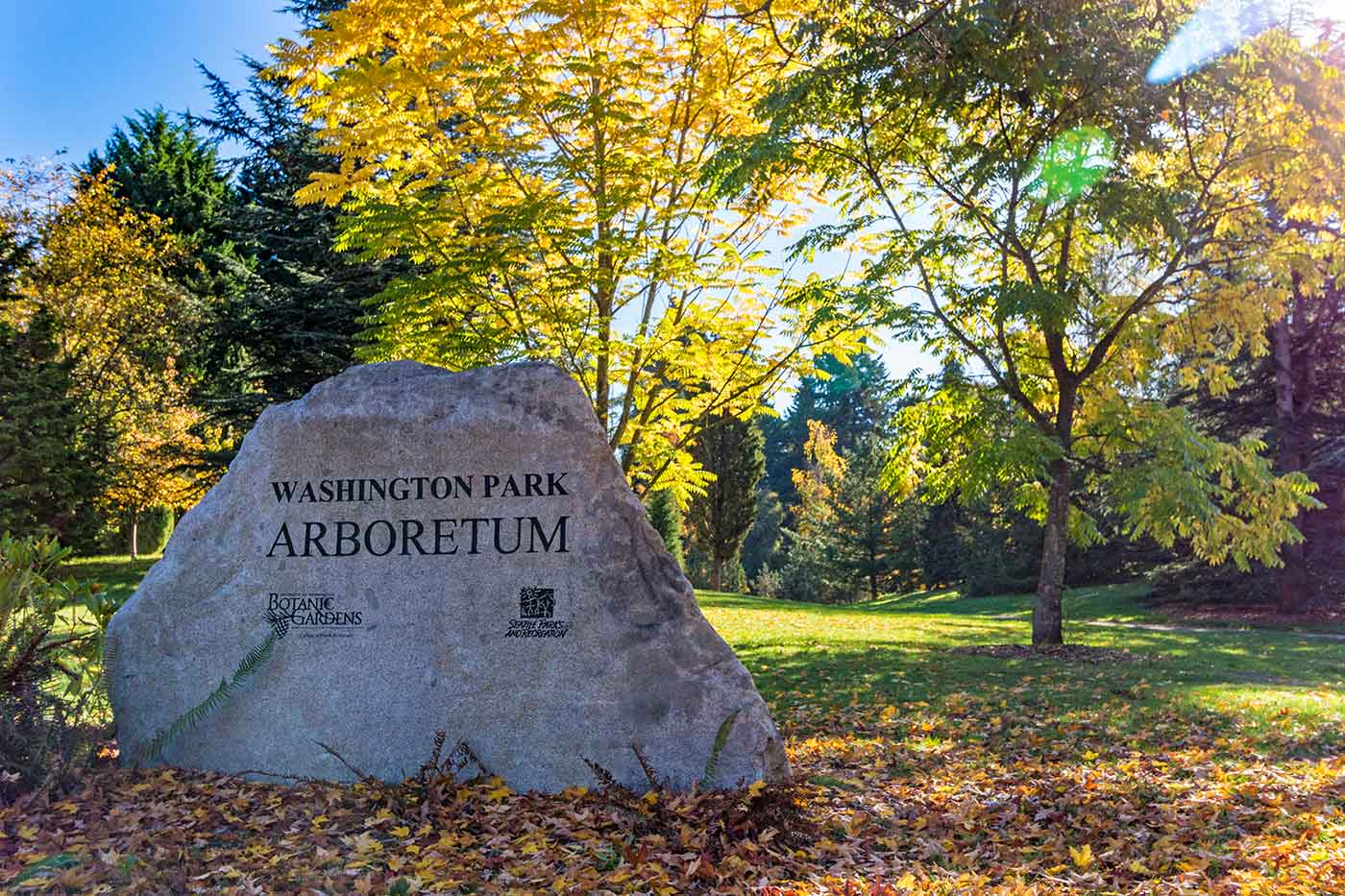 Washington Park Arboretum