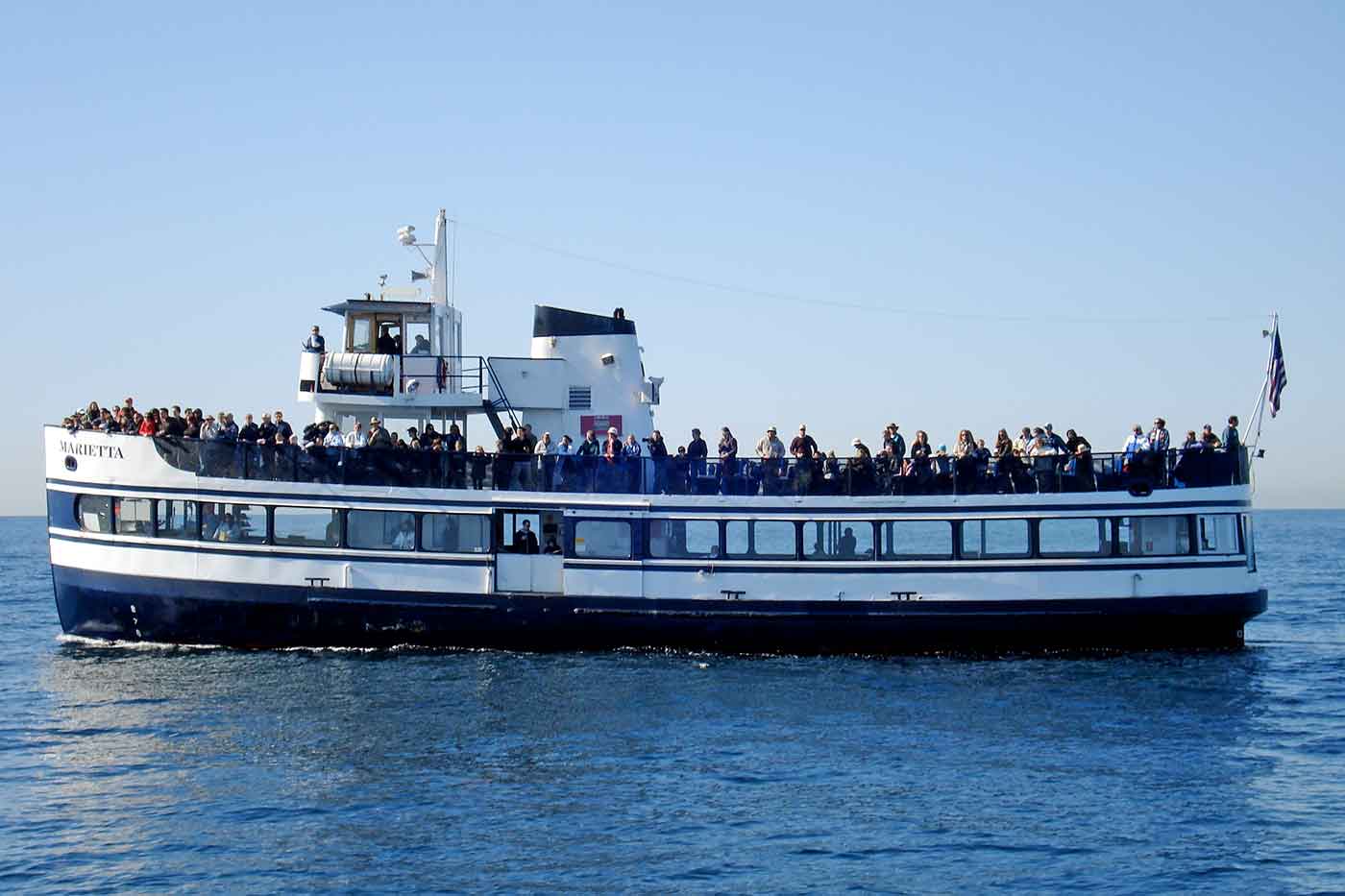 Boat Cruise / Whale Watching Cruise