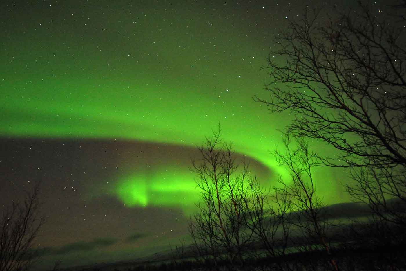 Abisko Northern Lights Tour