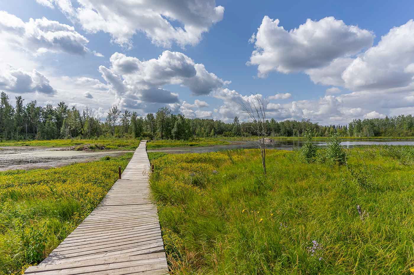 Elk Island National Park