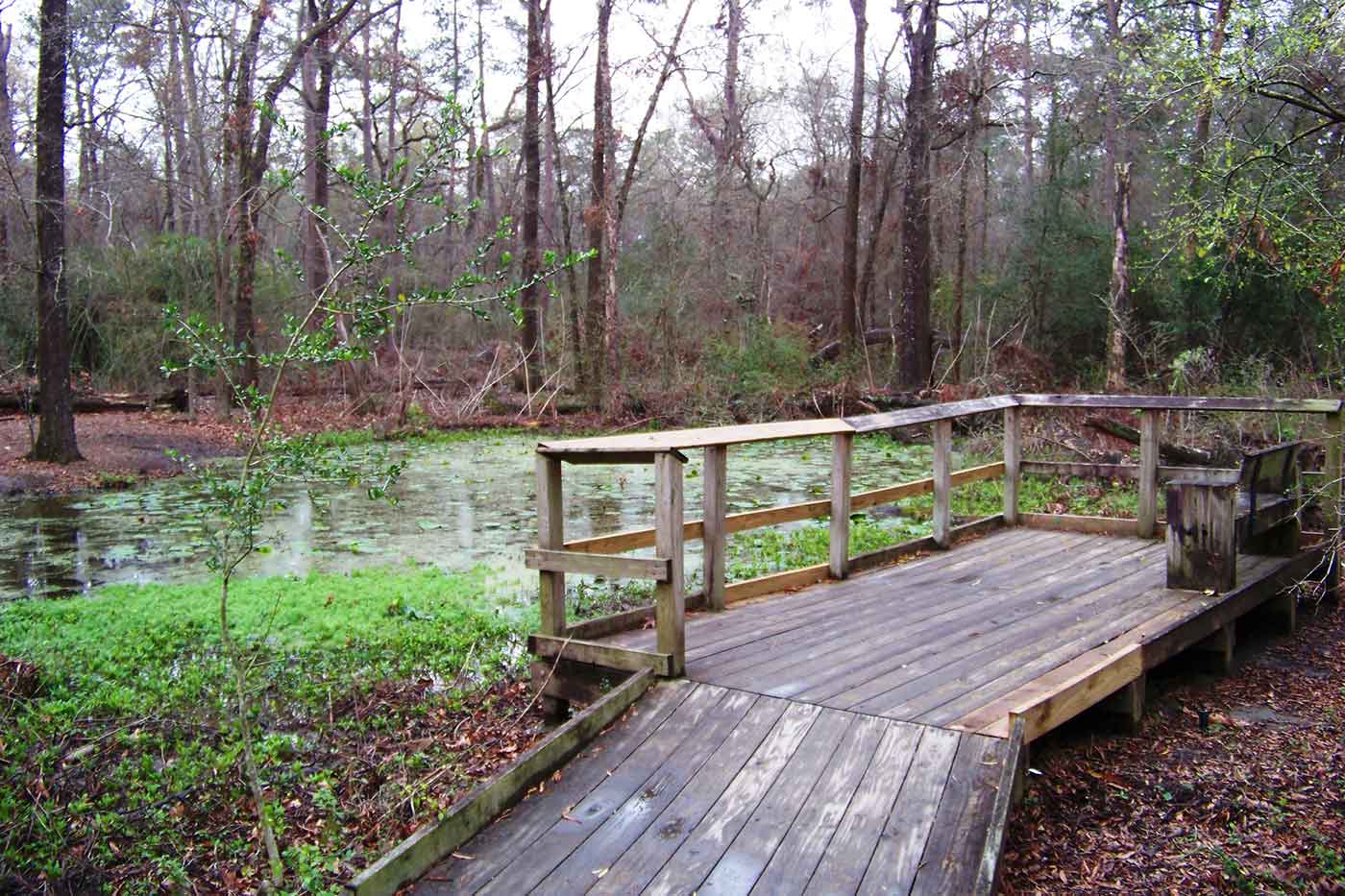 Houston Arboretum and Nature Center