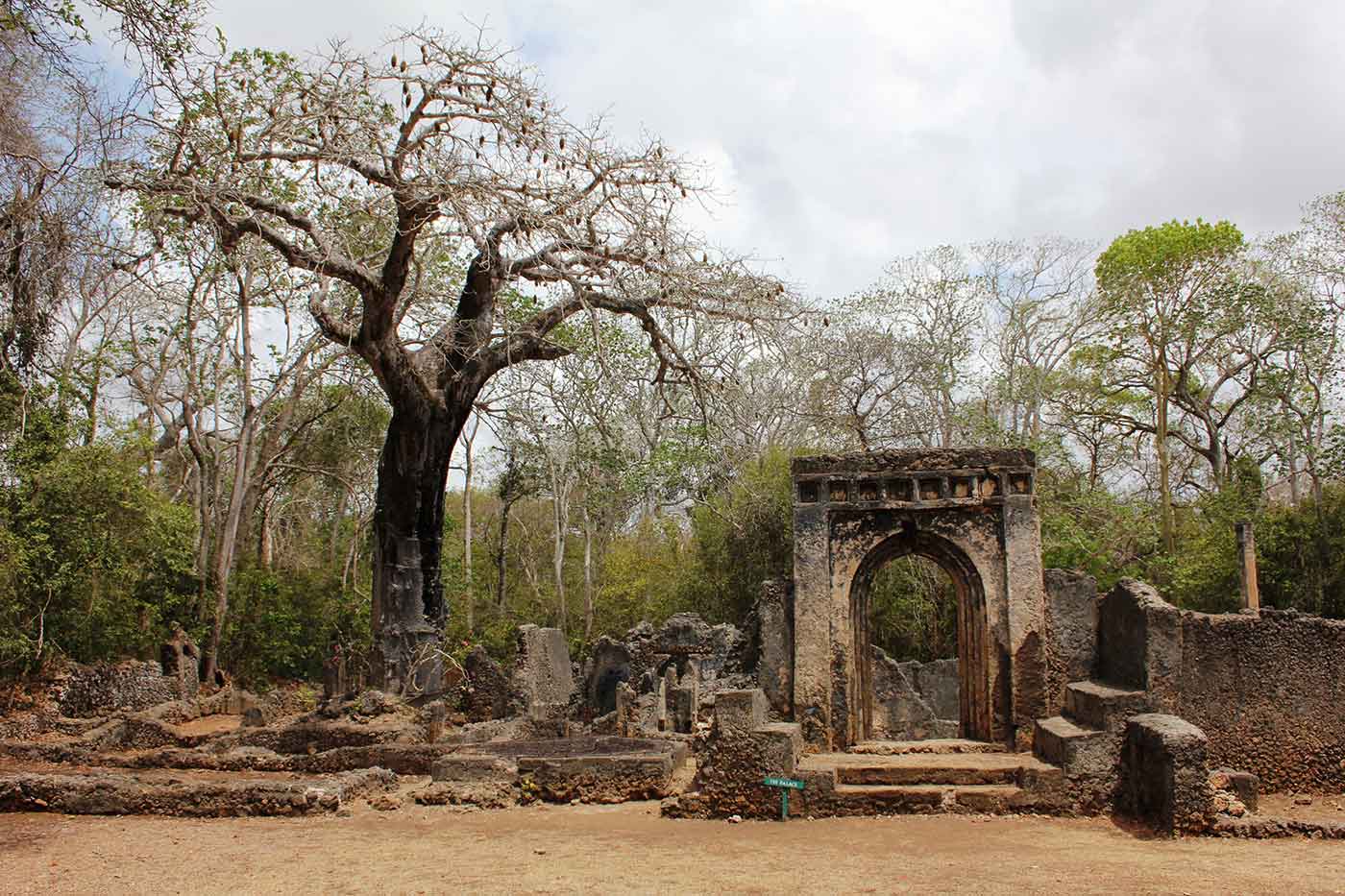 Ruins of Gedi