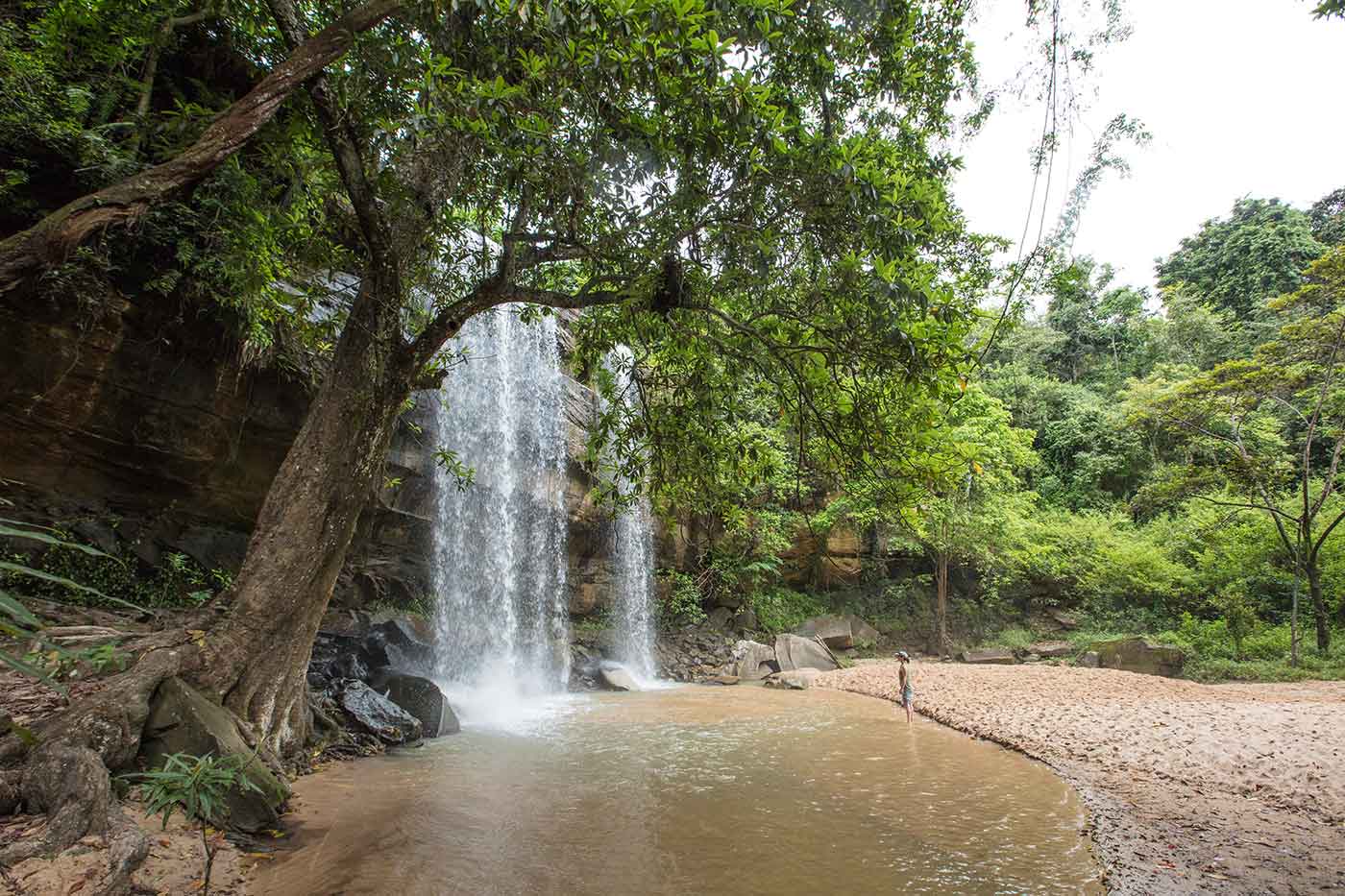 Shimba Hills National Reserve