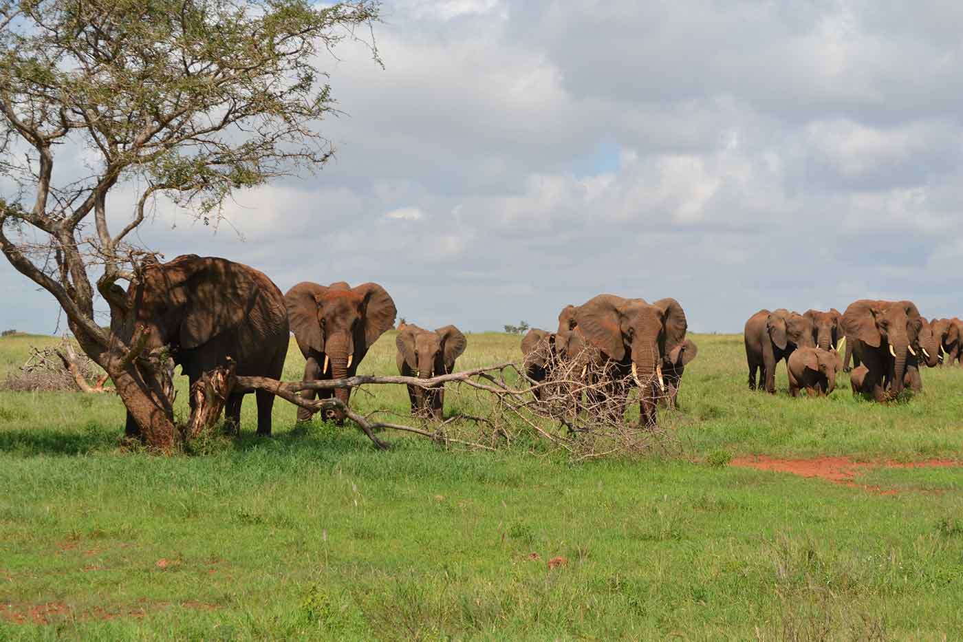 Taita Hills Wildlife Sanctuary